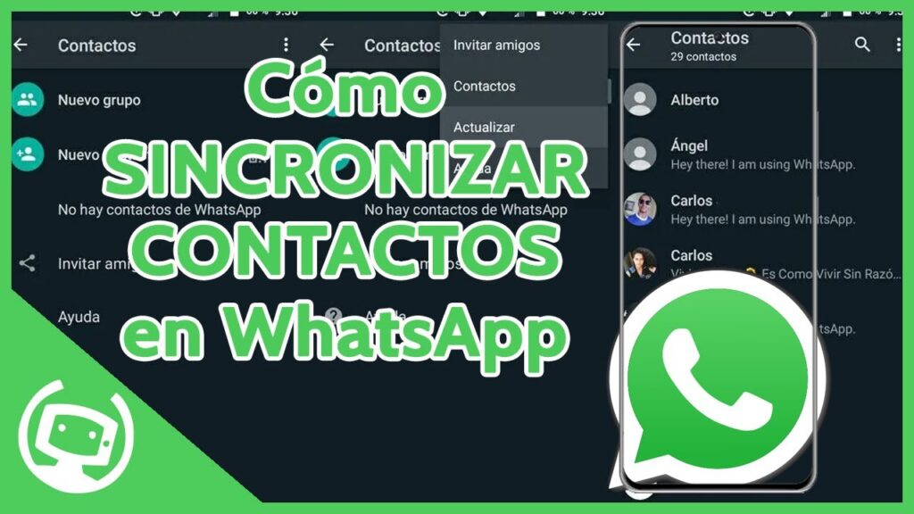 Cómo sincronizar contactos en WhatsApp 1 🕴Cómo SINCRONIZAR contactos en WhatsApp: ¿por qué no aparecen?📱