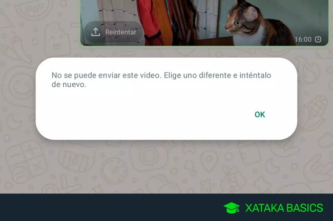 Cómo solucionar problemas de video en WhatsApp 1 Cómo Solucionar en WhatsApp el 'Error al Reproducir el Video' - Arréglalo Rápido